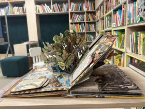 Новые поступления направлены на развитие интереса к чтению, изучение истории и культуры России, а также формирование познавательной активности у детей и подростков.