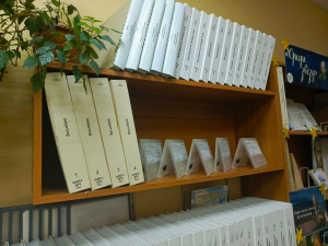 Деньги направили на пополнение фондов. Появилась новая литература для слепых в доступных для них форматах: цифровых «говорящих» книгах, размещенных на флеш-картах в защищенном LKF-формате для прослушивания на тифлофлешплеерах и книгах с рельефно-точечным