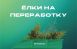 Собранные в Самаре ели будут переработаны в щепу