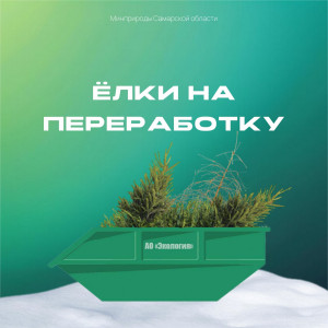 Собранные в Самаре ели будут переработаны в щепу