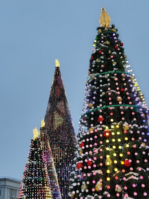 Кража с общественной елки игрушек может закончиться уголовным делом