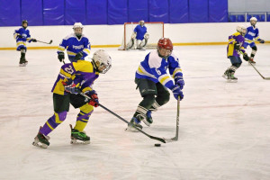 Завтра, 16 января, и во вторник, 20 января, состоятся матчи в возрастной категории 2011-2012 г.р. между командами «Чайка», «Титан», «Меридиан» и «Ястребы».