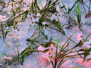 20 марта в 17:46 по московскому времени наступит день весеннего равноденствия