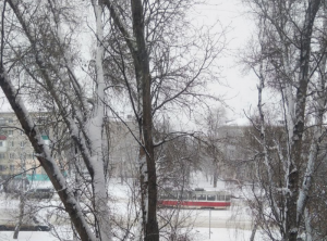 Температура воздуха в Самаре 23 января: ночью -20, -22°С, днем -14, -16°С.