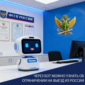 Узнать об ограничении в праве выезда самарцы смогут через Полину