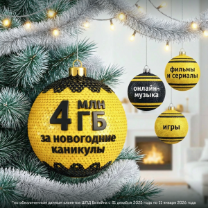 Самарцы попали в десятку регионов, где в новогоднюю ночь активно пользовались домашним интернетом Билайна