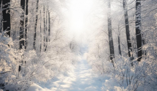 Аномально низкие температуры могут стать причиной изменения режима работы школ Самарской области