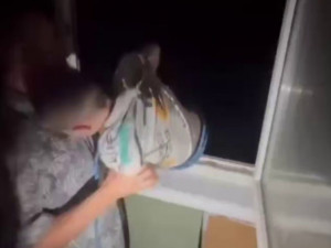 Россиянин привязал сына веревкой и спустил его с балкона многоэтажки