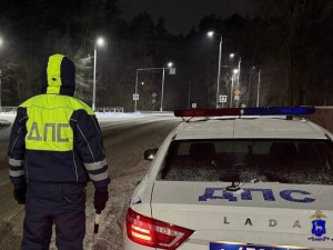 Пьяный сызранец сел за руль: показалось, что он менее пьян, чем товарищ