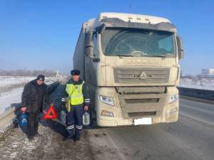 Сотрудники ГАИ Чапаевска при патрулировании на федеральном участке трассы Самара-Пугачев-Энгельс-Волгоград заметили на проезжей части стоящий большегруз.