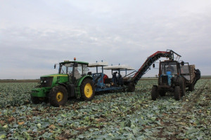 Аграрный сектор Самарской области продемонстрировал высокую активность