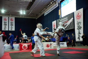 В 2026 году участие в турнире принимают 760 спортсменов разных возрастов из 24 регионов России. 