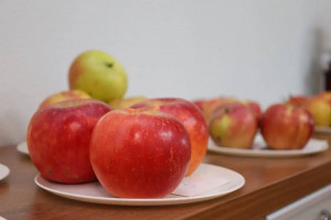 В Самарской области благодаря господдержке на базе НИИ «Жигулевские сады» будет создана микроклональная лаборатория