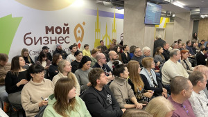 Предпринимателям Самарской области рассказали, как получить грант на развитие креативного проекта