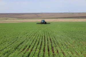 Кроме того, в Самарской области к 2030 году планируется реализовать шесть проектов мелиорации на площади почти 2,8 тыс. га при господдержке 158 млн рублей.