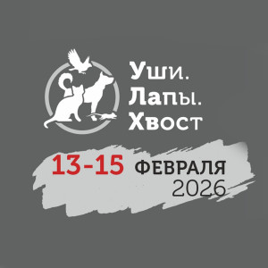 В Самаре проходит 12-я Всероссийская выставка товаров и услуг для домашних животных «Уши. Лапы. Хвост»
