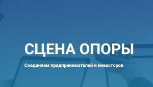 17 февраля прошла открытая питч-сессия инвестиционных ИТ-проектов «Сцена Опоры»