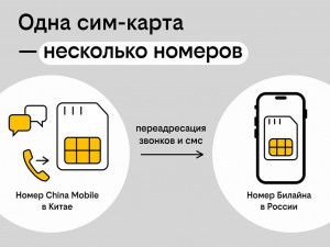 Китайский номер без перелётов: как купить в России, а зарегистрировать онлайн
