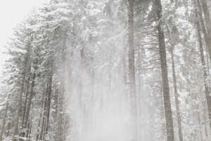 По информации Приволжского УГМС 20 февраля местами в Самарской области ожидается усиление ветра, порывы 15-20 м/с, метель при видимости 500-1000 м, на дорогах снежные заносы.