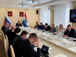 Проект реализуется с 2010 года дочерним обществом Корпорации развития – ООО «ЕвроБиоТех». В 2019 году создание комплекса было приостановлено из-за отсутствия финансирования.