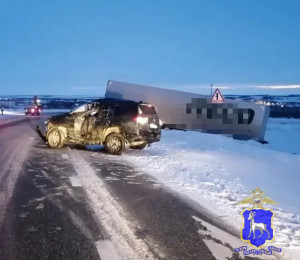 В ДТП с КАМАЗом в Самарской области погиб водитель иномарки