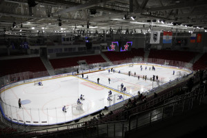 22 февраля на протяжении всего дня в Самаре во Дворце спорта проходил турнир по хоккею, посвященный Дню защитника Отечества. Лозунг мероприятия - «В единстве наша сила, в сплочённости успех!».