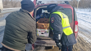 В выходные 20-23 февраля в Самарской области задержали 52 пьяных водителя