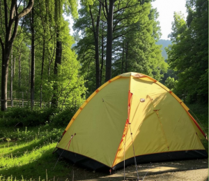 Бюджет, безопасность и привлекательность локации — главные факторы выбора путешествий по России среди жителей Самары