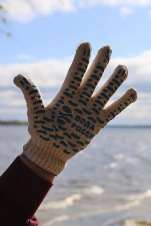 С апреля по ноябрь 2026 года акция «Вода России» охватит 37 районов и городов региона, где пройдут мероприятия по уборке берегов рек и озёр от мусора.