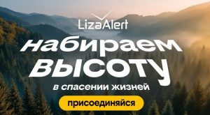 Билайн и «Группа Лента» запустили социальный видеоролик в поддержку «ЛизаАлерт» на экранах в магазинах