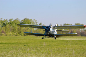 Специалистами Рослесозащиты СО, в период с 2023 по 2025 год удалось добиться существенного сокращения площадей очагов пилильщика-ткача звездчатого.