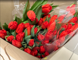 В Самаре Молодёжка Народного фронта поздравляет женщин- военнослужащих, медиков госпиталей и семьи участников СВО с 8 Марта