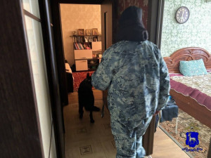 Собака помогла закрыть наркопритон в Волжском