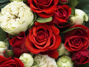 В поздравительной телеграмме Путин отметил, что рад тому, что Зацепин встречает 100-летний юбилей «на творческом подъеме, в прекрасном настроении, в кругу родных, друзей, верных поклонников» и продолжает дарить любителям музыки новые произведения.