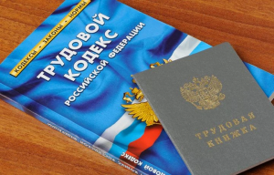 В Самаре за 2025 год легализованы трудовые отношения 132 работников и 4058 хозяйствующих субъектов.