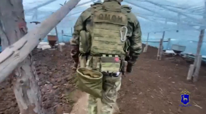 Недавно одним из объектов проверки стал тепличный комплекс в Кинельского района. В ходе мероприятия сотрудники УВМ проверили более 30 иностранных граждан.