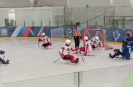 В Самаре проходит третий этап Всероссийской любительской следж-хоккейной лиги. 10 команд из разных регионов России определяют сильнейших двух дивизионах.