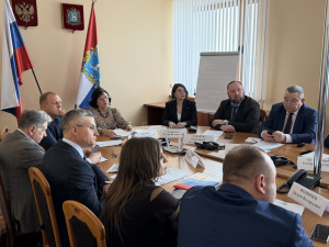 Состоялось первое в текущем году заседание Общественного совета при министерстве экономического развития и инвестиций Самарской области.