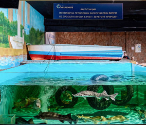 Самарский океанариум в марте запустил масштабную социально-ответственную инициативу по проблематике экологии Волги.