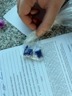 В Сызрани транспортные полицейские пресекли факт перевозки наркотиков в пассажирском поезде