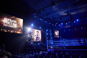 В Самаре на церемонии открытия Кубка России по боксу участников приветствовал сам Олег Саитов.