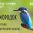 22 марта 2026 года стартует Областной эко-конкурс "Зимородок"