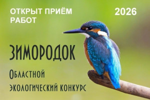 22 марта 2026 года стартует Областной эко-конкурс "Зимородок"