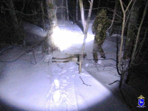 В Исаклах мужчина незаконно застрелил косулю