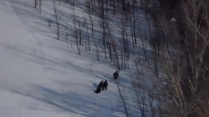 В рамках рейда на территории тепличного комплекса в Волжском районе проверено 127 иностранных граждан