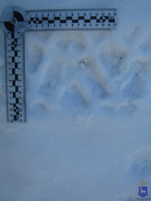 В Красноярском районе задержан пьяный за рулем чужого квадроцикла