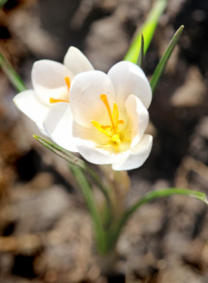 Погода в Самарской области опять бьет рекорды
