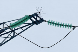 Энергетики установят более 600 птицезащитных устройств на ЛЭП в Самарской области