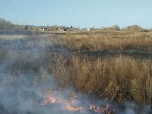 31 марта в ГКУ СО «Центр по делам ГО, ПБ и ЧС» поступило сообщение о возгорании травы в поселке Нижегорский на улице Зеленой.