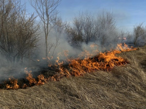 В Безенчукском районе произошло возгорание сухой травы на площади 1000 кв. метров